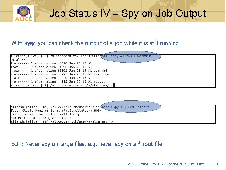 Job Status IV – Spy on Job Output With spy you can check the