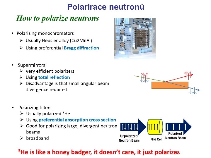 Polarirace neutronů 