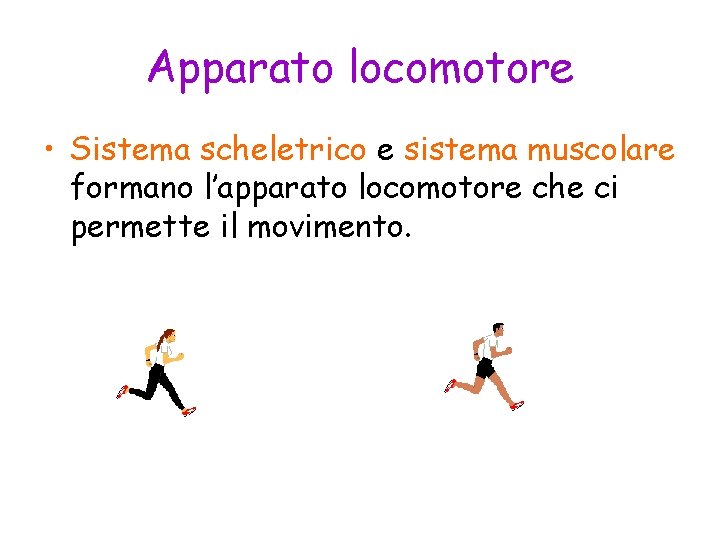 Apparato locomotore • Sistema scheletrico e sistema muscolare formano l’apparato locomotore che ci permette