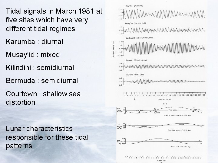Tidal signals in March 1981 at five sites which have very different tidal regimes
