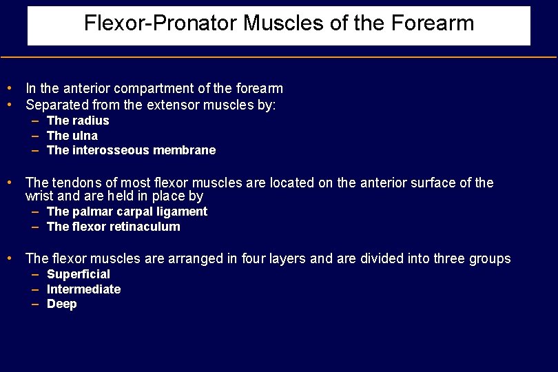 Flexor-Pronator Muscles of the Forearm • In the anterior compartment of the forearm •