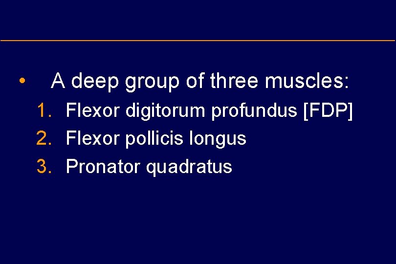  • A deep group of three muscles: 1. Flexor digitorum profundus [FDP] 2.