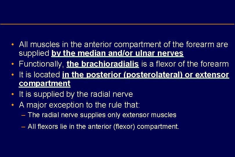  • All muscles in the anterior compartment of the forearm are supplied by