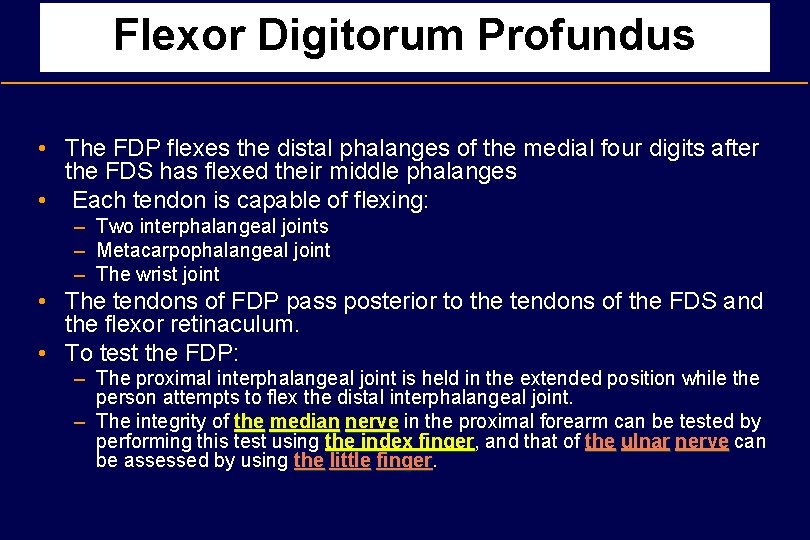 Flexor Digitorum Profundus • The FDP flexes the distal phalanges of the medial four