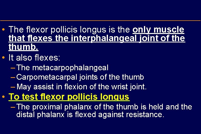  • The flexor pollicis longus is the only muscle that flexes the interphalangeal