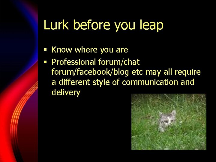 Lurk before you leap § Know where you are § Professional forum/chat forum/facebook/blog etc Lurk before you leap § Know where you are § Professional forum/chat forum/facebook/blog etc