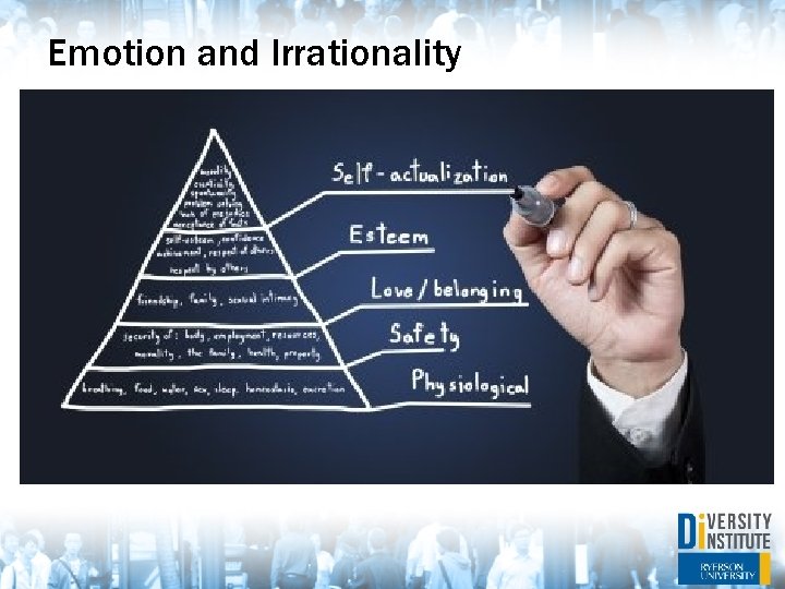 Emotion and Irrationality 