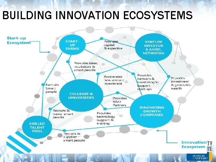 BUILDING INNOVATION ECOSYSTEMS 