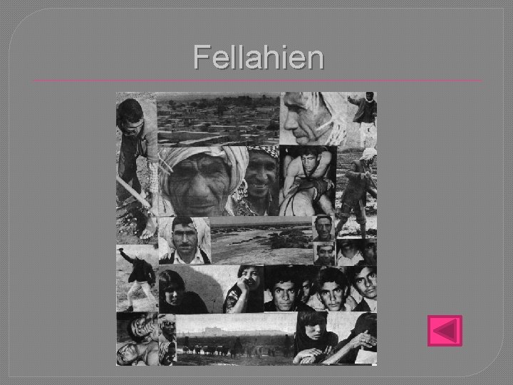 Fellahien 