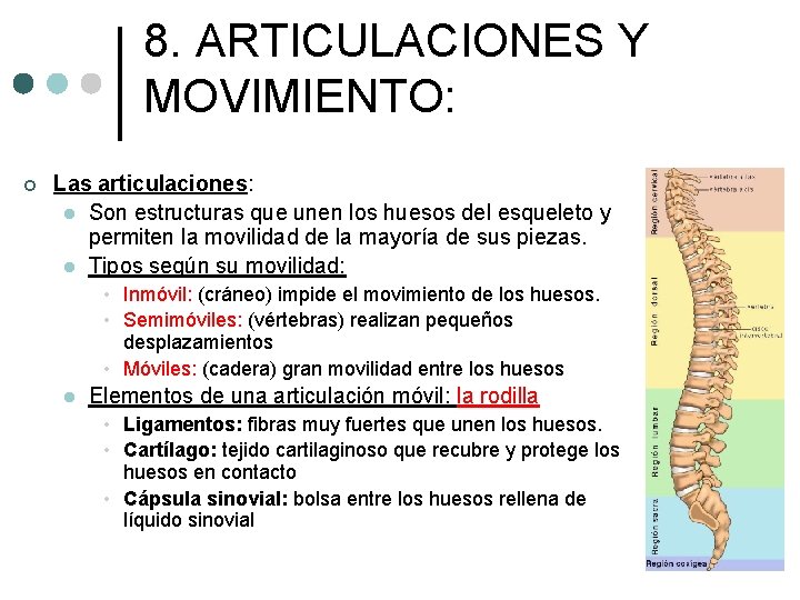 8. ARTICULACIONES Y MOVIMIENTO: ¢ Las articulaciones: l Son estructuras que unen los huesos 8. ARTICULACIONES Y MOVIMIENTO: ¢ Las articulaciones: l Son estructuras que unen los huesos