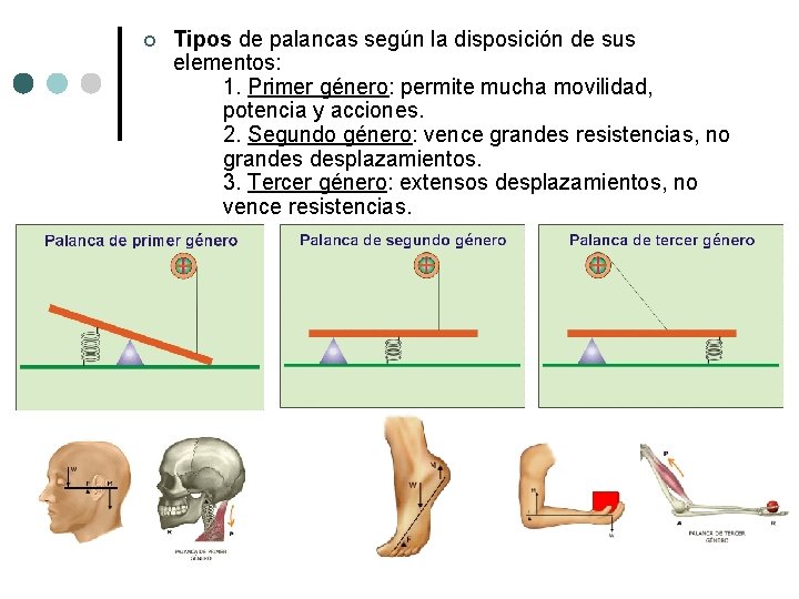¢ Tipos de palancas según la disposición de sus elementos: 1. Primer género: permite ¢ Tipos de palancas según la disposición de sus elementos: 1. Primer género: permite