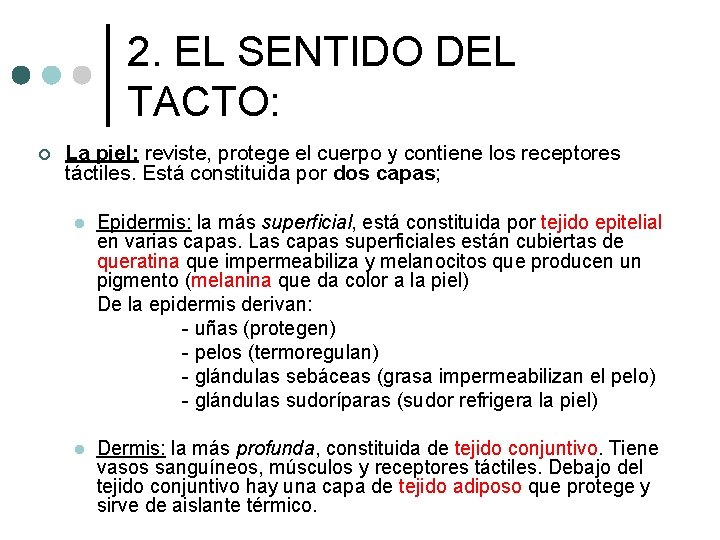 2. EL SENTIDO DEL TACTO: ¢ La piel: reviste, protege el cuerpo y contiene 2. EL SENTIDO DEL TACTO: ¢ La piel: reviste, protege el cuerpo y contiene