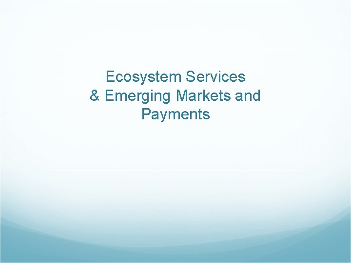 Ecosystem Services & Emerging Markets and Payments 