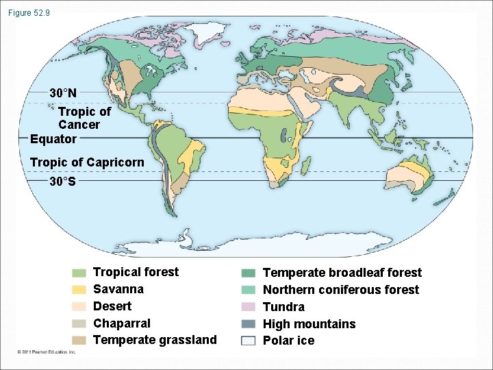 Figure 52. 9 30°N Tropic of Cancer Equator Tropic of Capricorn 30°S Tropical forest