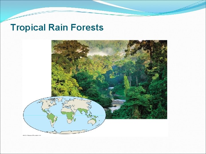 Tropical Rain Forests 