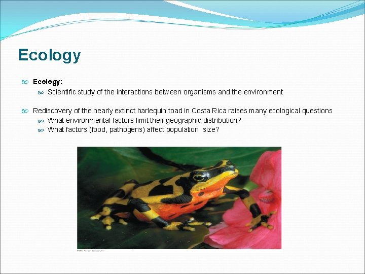 Ecology Ecology: Scientific study of the interactions between organisms and the environment Rediscovery of