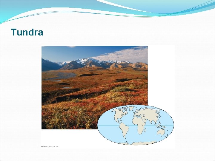 Tundra 