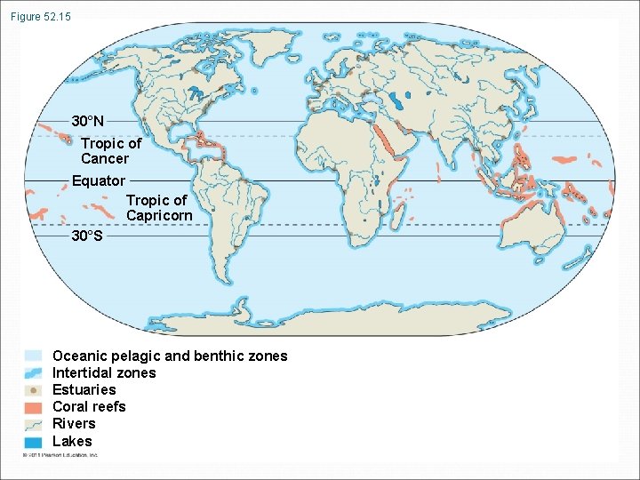 Figure 52. 15 30°N Tropic of Cancer Equator Tropic of Capricorn 30°S Oceanic pelagic