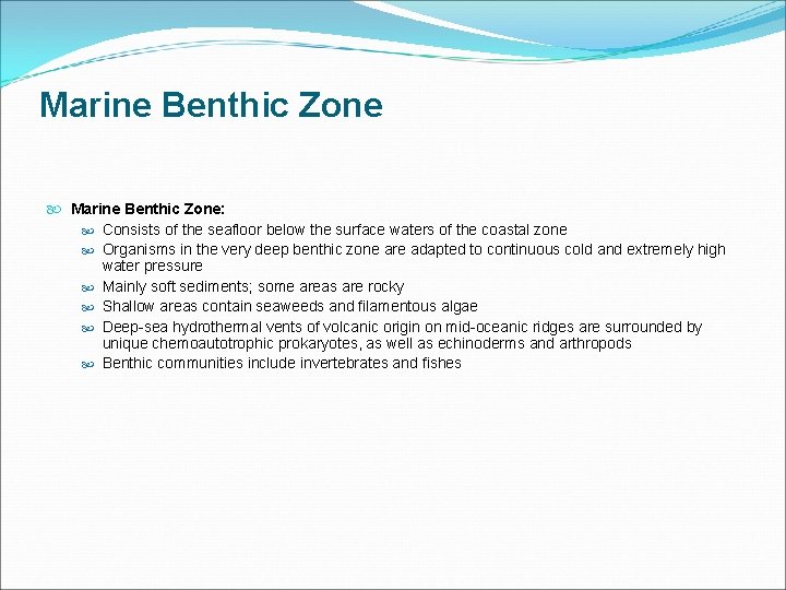 Marine Benthic Zone Marine Benthic Zone: Consists of the seafloor below the surface waters