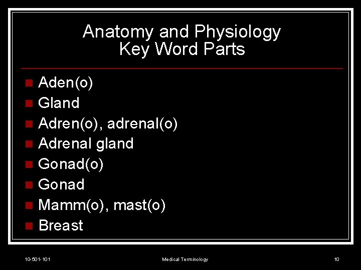 Anatomy and Physiology Key Word Parts Aden(o) n Gland n Adren(o), adrenal(o) n Adrenal