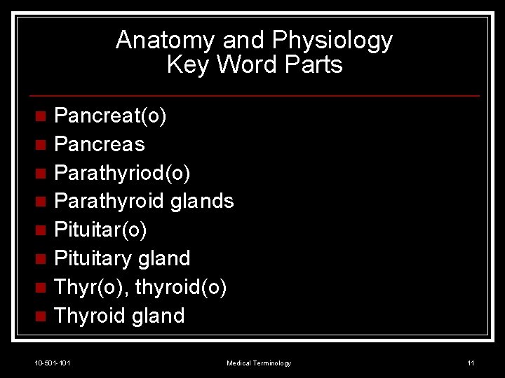Anatomy and Physiology Key Word Parts Pancreat(o) n Pancreas n Parathyriod(o) n Parathyroid glands
