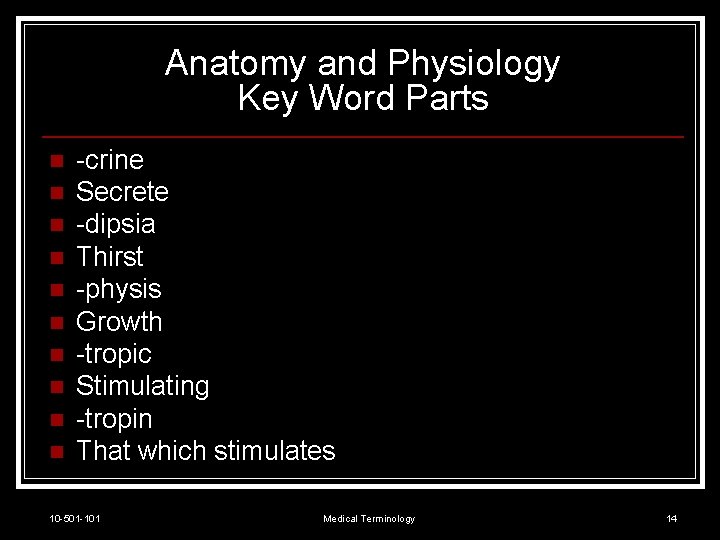 Anatomy and Physiology Key Word Parts n n n n n -crine Secrete -dipsia
