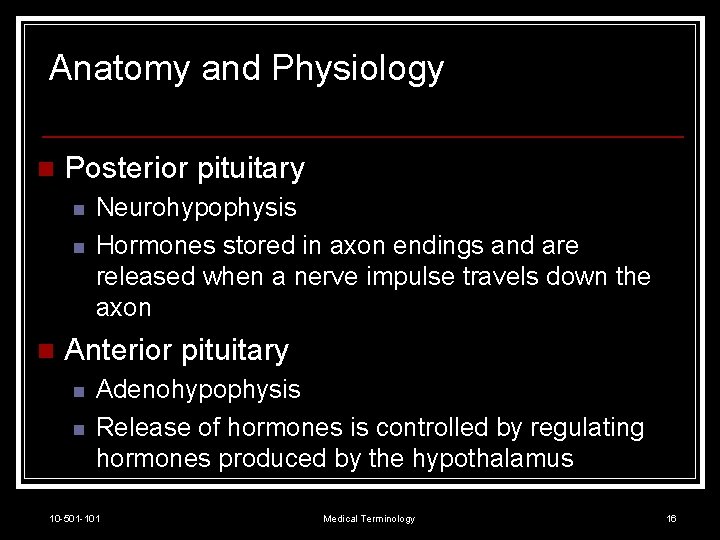Anatomy and Physiology n Posterior pituitary n n n Neurohypophysis Hormones stored in axon