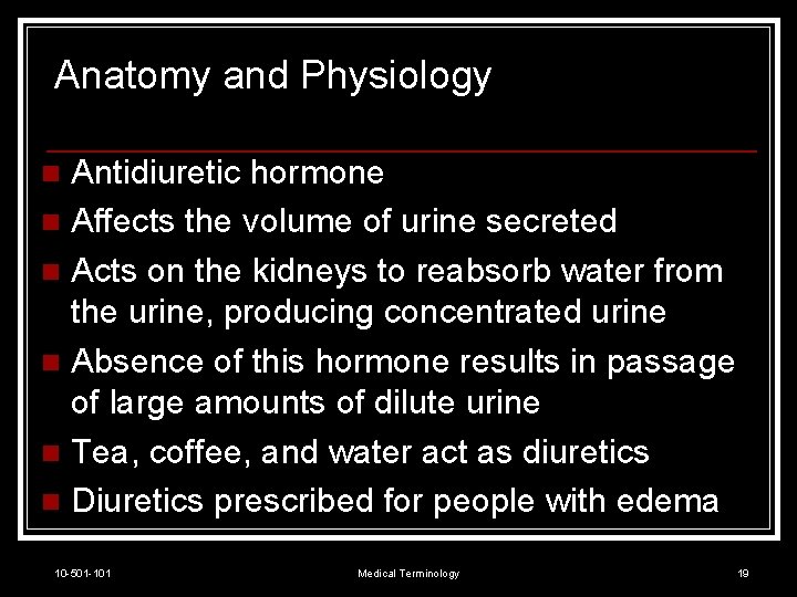 Anatomy and Physiology Antidiuretic hormone n Affects the volume of urine secreted n Acts