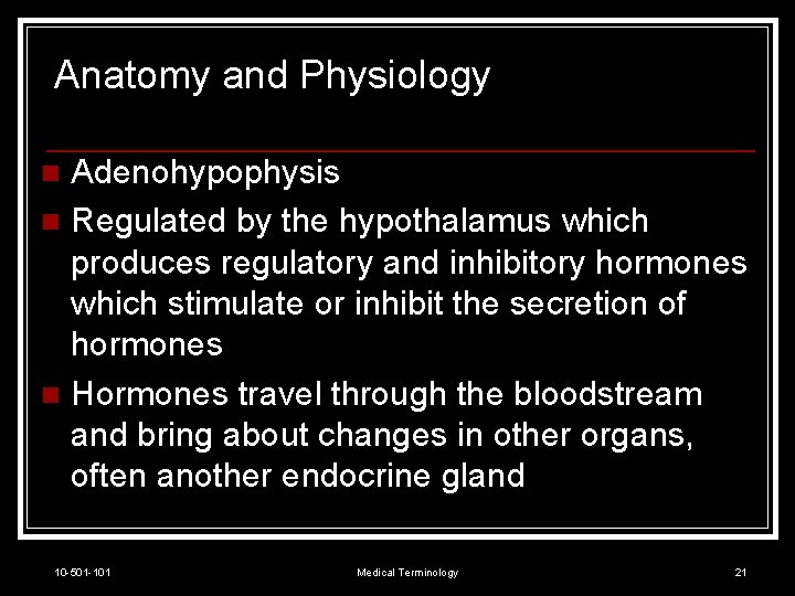 Anatomy and Physiology Adenohypophysis n Regulated by the hypothalamus which produces regulatory and inhibitory