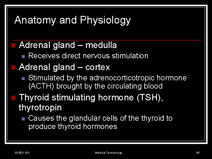 Anatomy and Physiology n Adrenal gland – medulla n n Adrenal gland – cortex