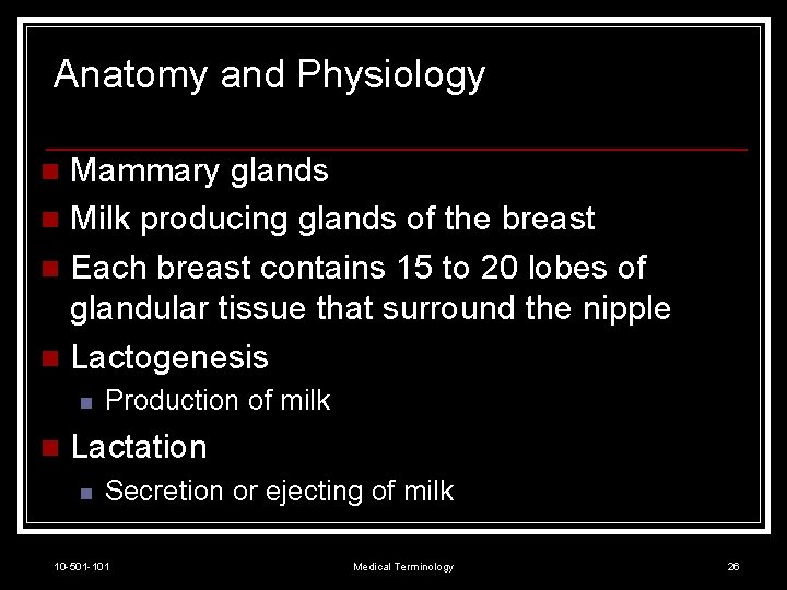 Anatomy and Physiology Mammary glands n Milk producing glands of the breast n Each