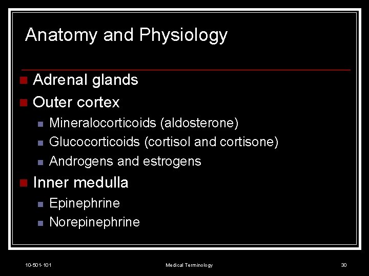 Anatomy and Physiology Adrenal glands n Outer cortex n n n Mineralocorticoids (aldosterone) Glucocorticoids