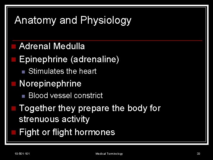 Anatomy and Physiology Adrenal Medulla n Epinephrine (adrenaline) n n n Stimulates the heart