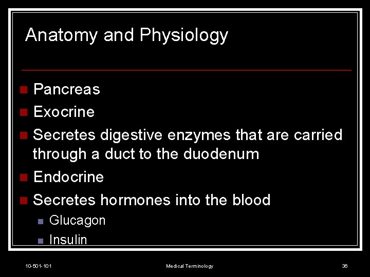 Anatomy and Physiology Pancreas n Exocrine n Secretes digestive enzymes that are carried through