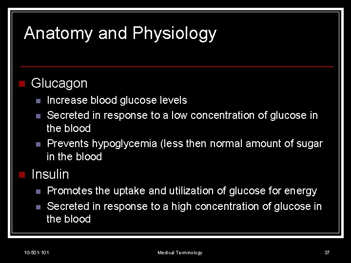 Anatomy and Physiology n Glucagon n n Increase blood glucose levels Secreted in response