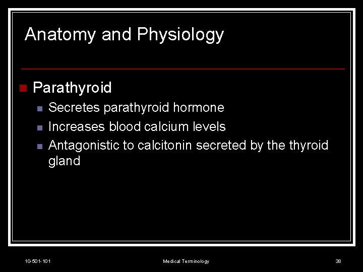 Anatomy and Physiology n Parathyroid n n n Secretes parathyroid hormone Increases blood calcium