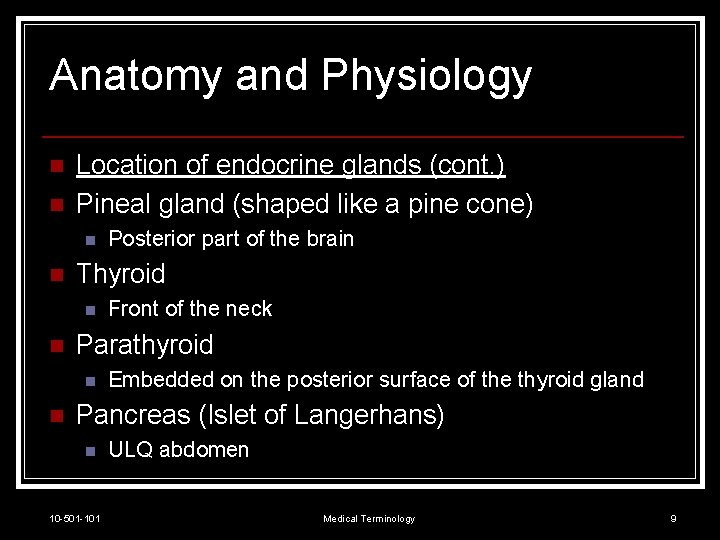 Anatomy and Physiology n n Location of endocrine glands (cont. ) Pineal gland (shaped