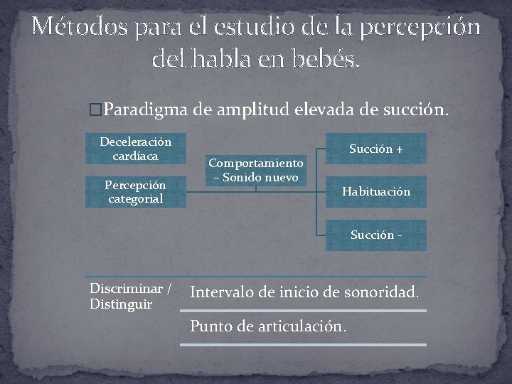 Métodos para el estudio de la percepción del habla en bebés. �Paradigma de amplitud