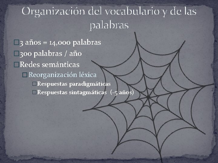 Organización del vocabulario y de las palabras � 3 años = 14, 000 palabras