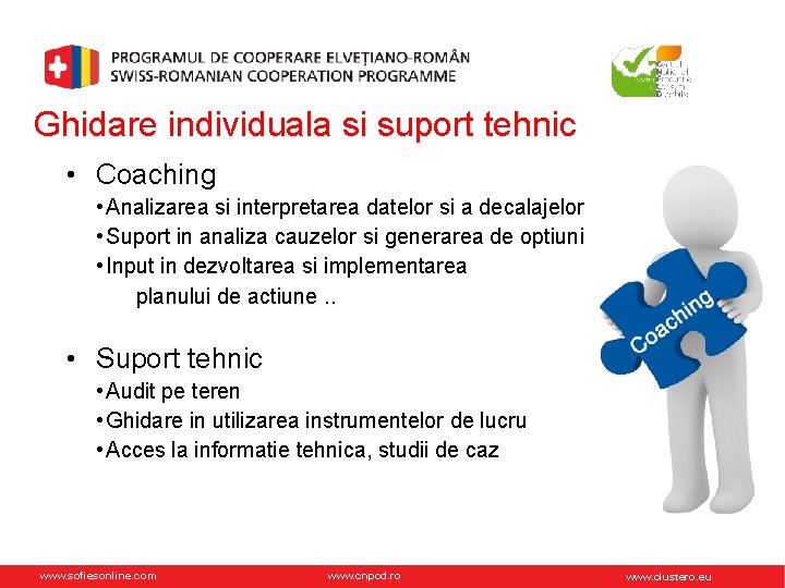 Ghidare individuala si suport tehnic • Coaching • Analizarea si interpretarea datelor si a