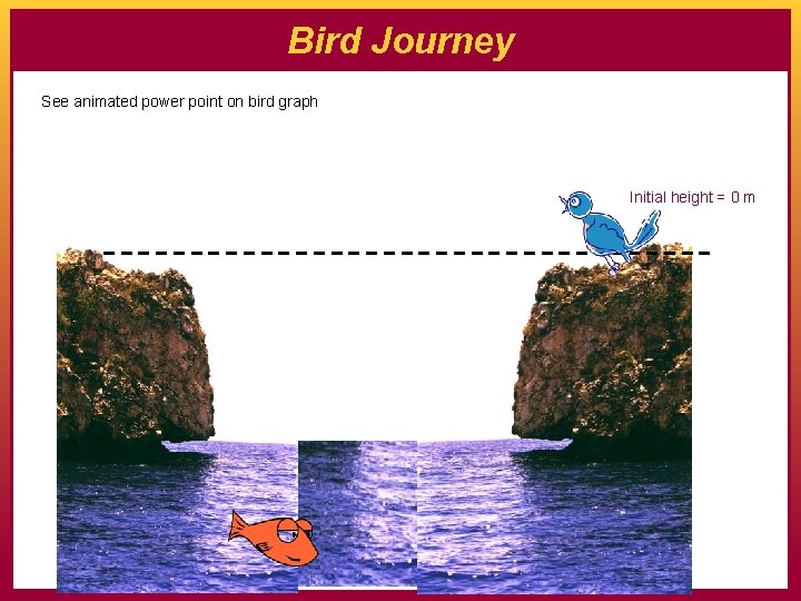 Bird Journey See animated power point on bird graph Initial height = 0 m