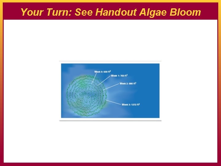 Your Turn: See Handout Algae Bloom 