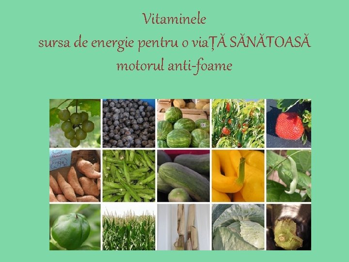 Vitaminele sursa de energie pentru o viaŢĂ SĂNĂTOASĂ motorul anti-foame 