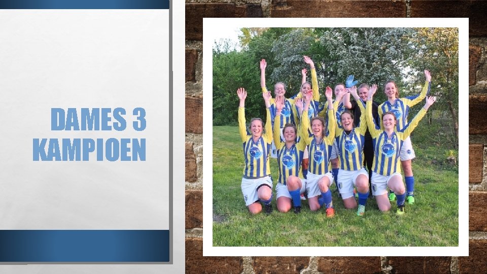 DAMES 3 KAMPIOEN 