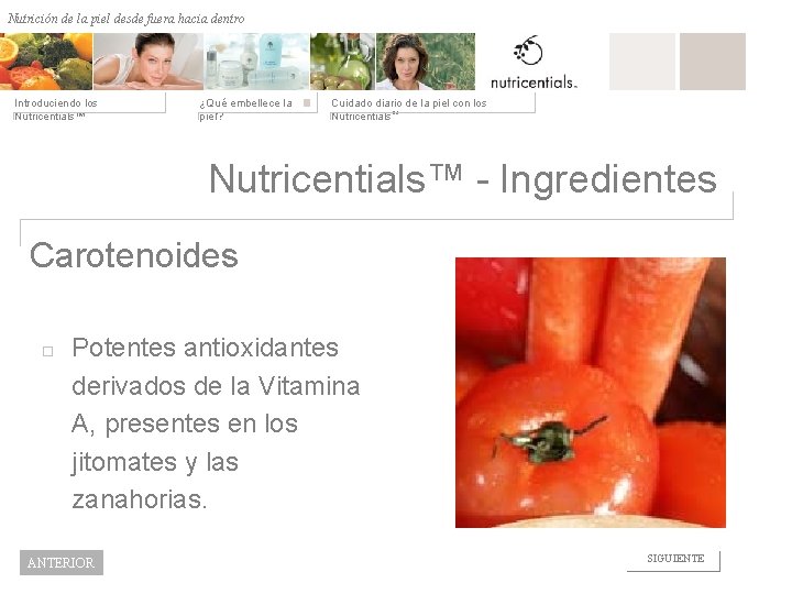 Nutrición de la desde fuera hacia dentro Nutrición depiel afuera hacia adentro Introduciendo los