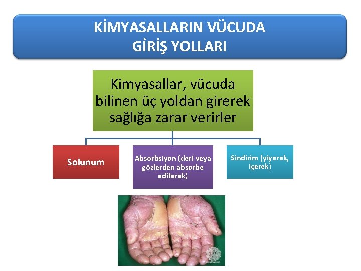 KİMYASALLARIN VÜCUDA GİRİŞ YOLLARI Kimyasallar, vücuda bilinen üç yoldan girerek KİMYASALLARIN VÜCUDA sağlığa zarar