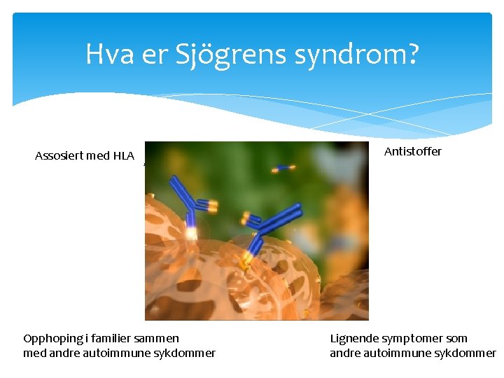 Hva er Sjögrens syndrom? Assosiert med HLA Autoimmun sykdom Opphoping i familier sammen med