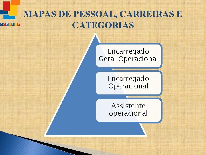 MAPAS DE PESSOAL, CARREIRAS E CATEGORIAS Encarregado Geral Operacional Encarregado Operacional Assistente operacional 