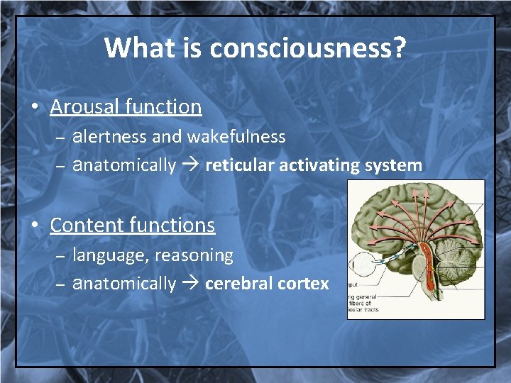 What is consciousness? • Arousal function – – alertness and wakefulness anatomically reticular activating
