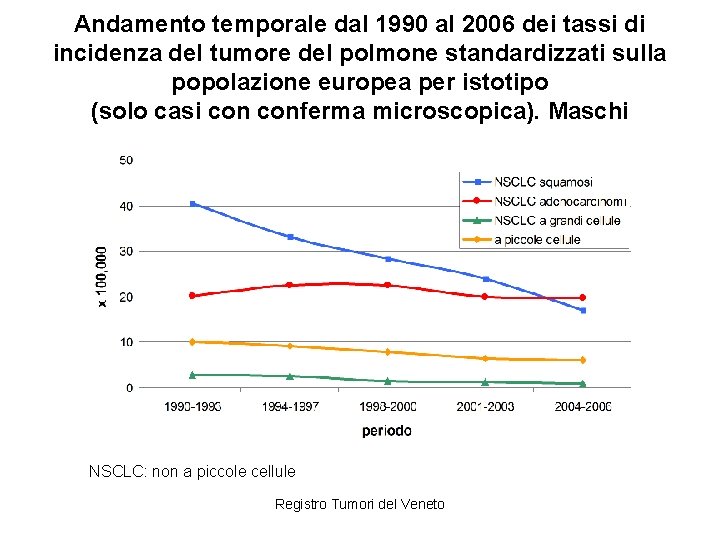 Andamento temporale dal 1990 al 2006 dei tassi di incidenza del tumore del polmone